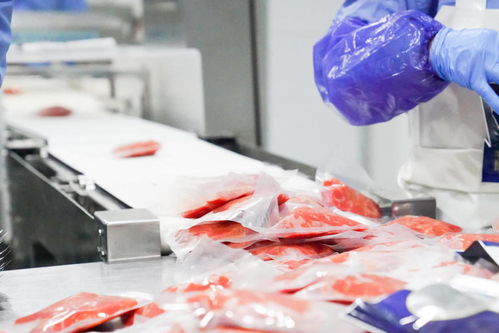 四川食品企業產銷兩旺齊發力 多措并舉沖刺年度目標