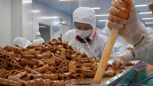 揭秘零食工廠 走進良品鋪子荊州生產基地，見證美味誕生之旅