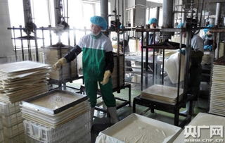 天人和 寧夏食品企業榮膺中國豆制品樣板工廠，引領健康飲食新風尚